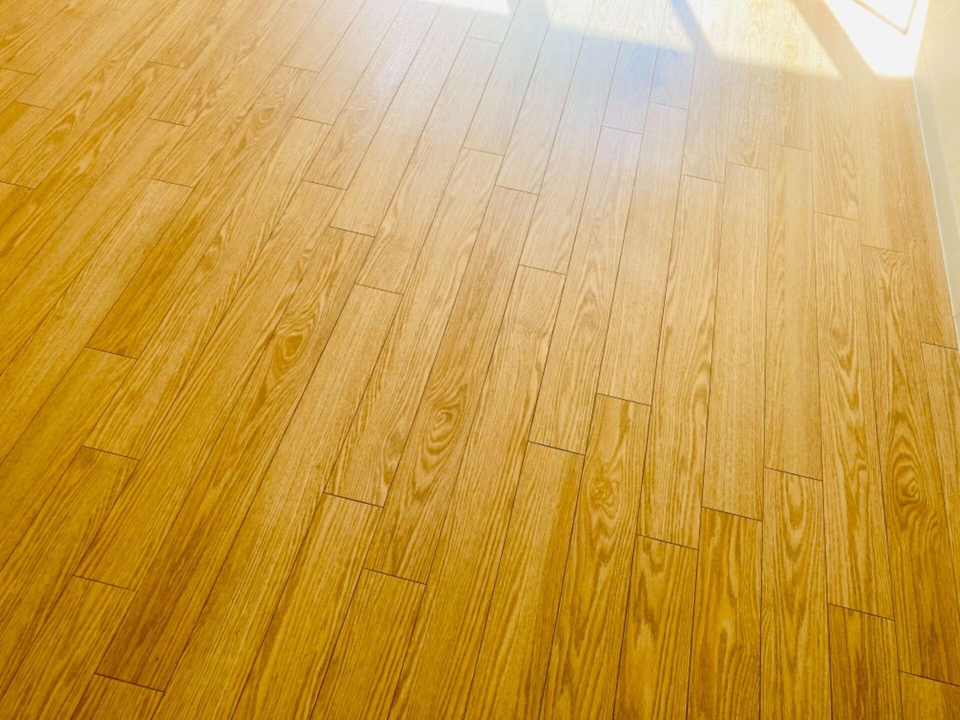 imgi_4_20210421091240