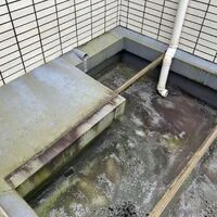 画像1687：ユニットバス　シャワーカーテン　簡単に落とせます。