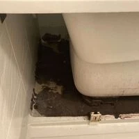 画像1715：ユニットバス　シャワーカーテン　簡単に落とせます。