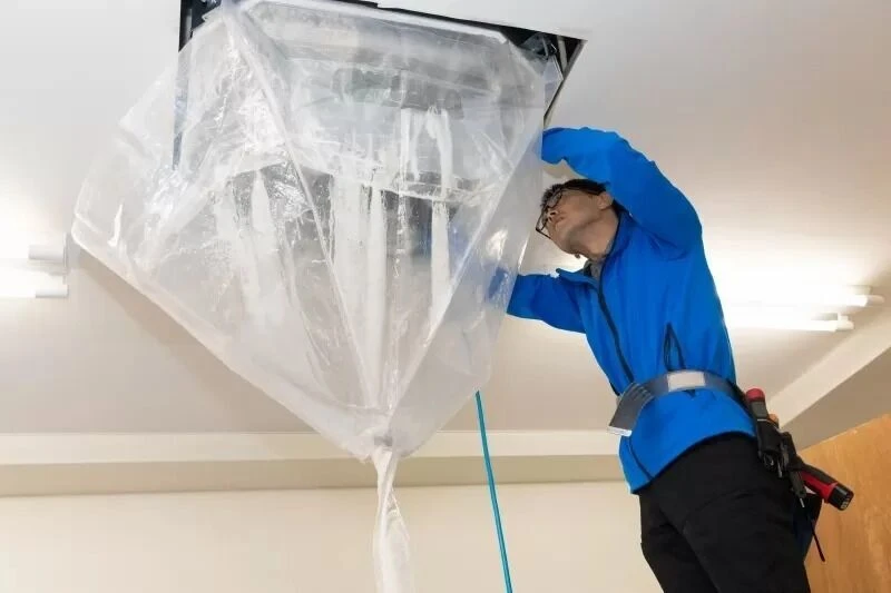 見落としがちな隅や高所まで徹底対応